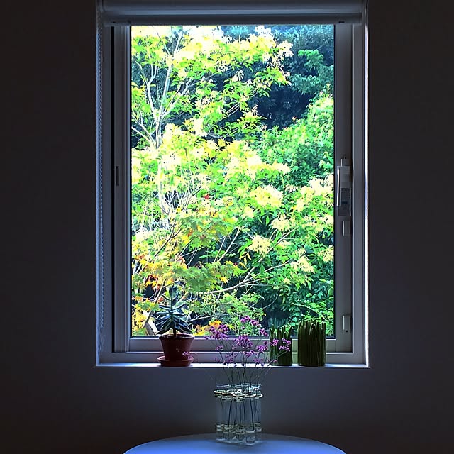 masami.hさんの実例写真