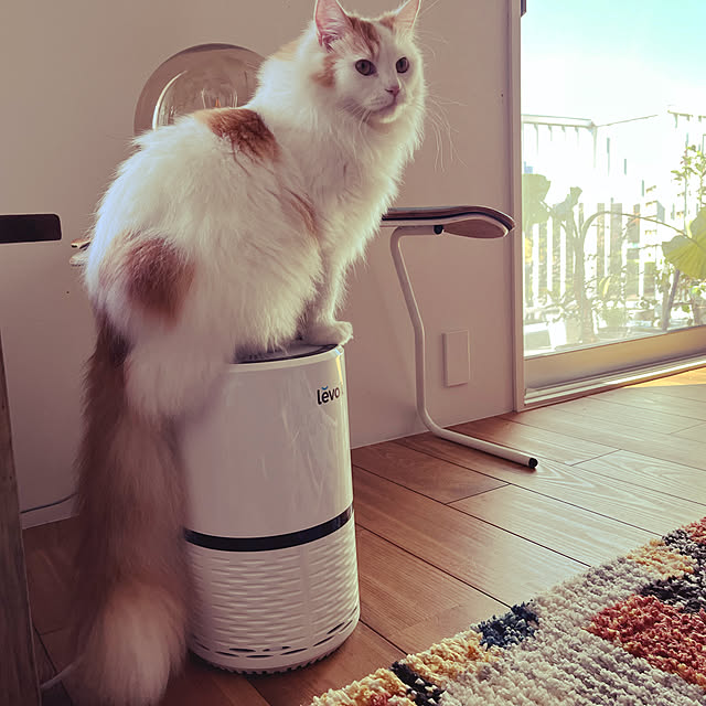 ____m6__56さんの実例写真
