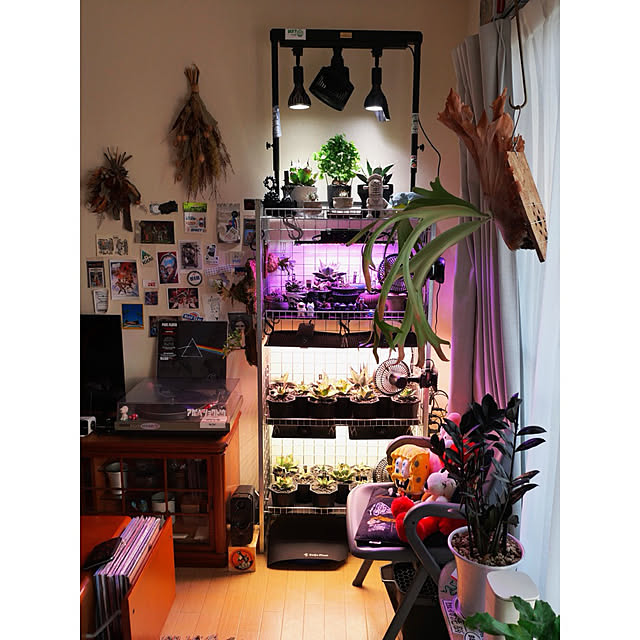 w_end_0625さんの実例写真