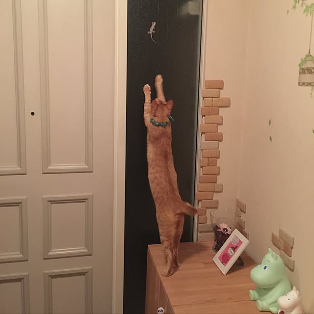 mtkさんの実例写真