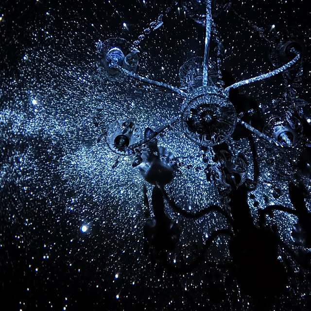 Yayaさんの実例写真