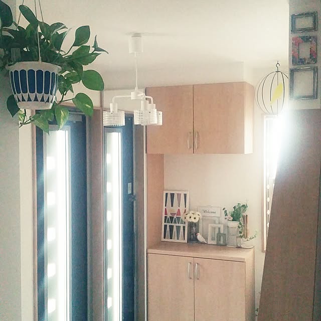 Springさんの部屋