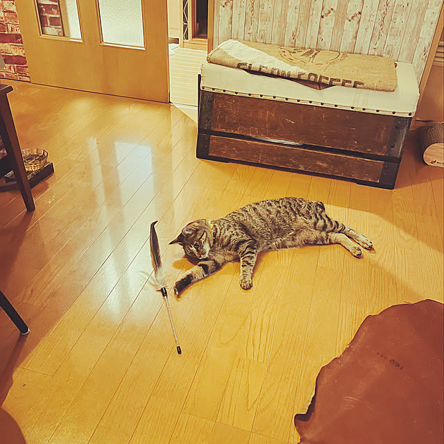 Mさんの実例写真
