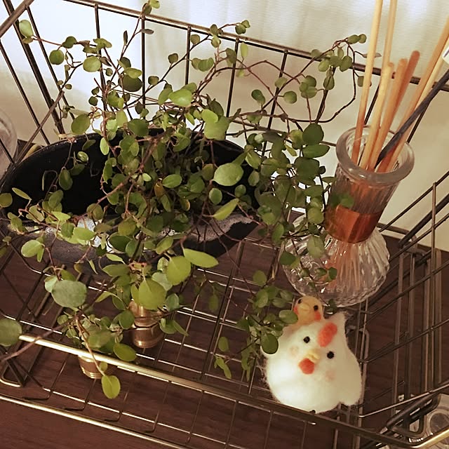 poiさんの実例写真