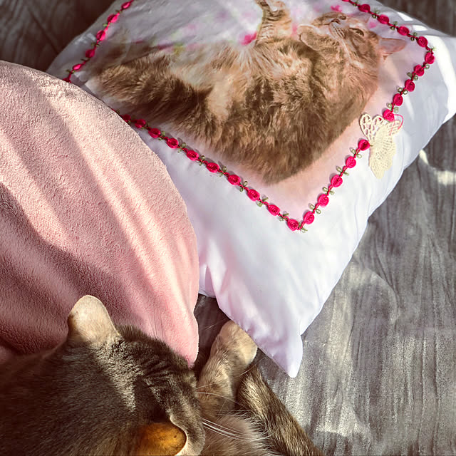 honeyさんの実例写真