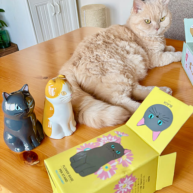 naokoさんの部屋