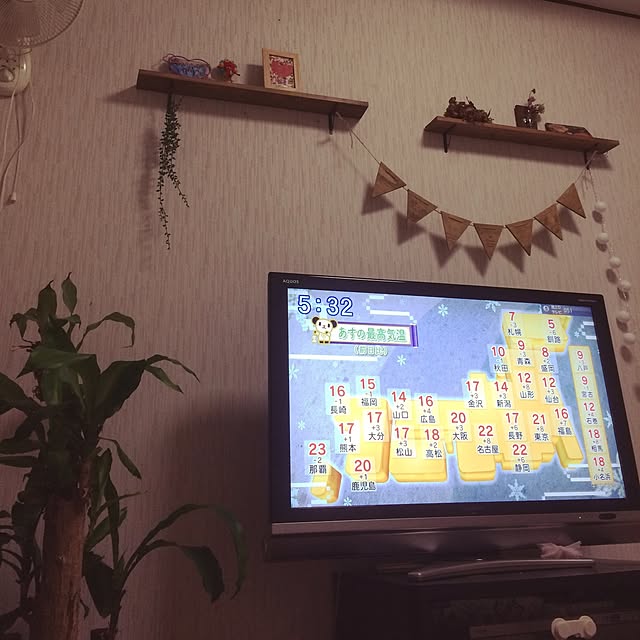 muwaさんの実例写真