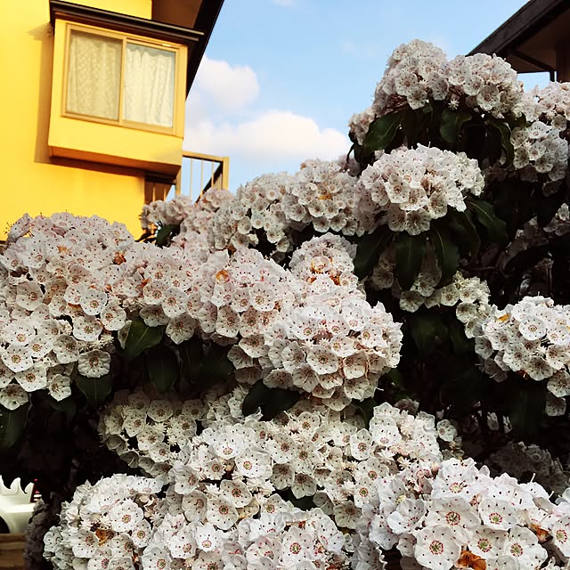m-ktry.0530mikaさんの実例写真
