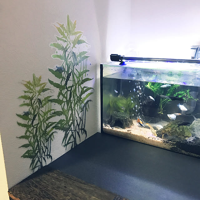 kouta_Co.さんの実例写真