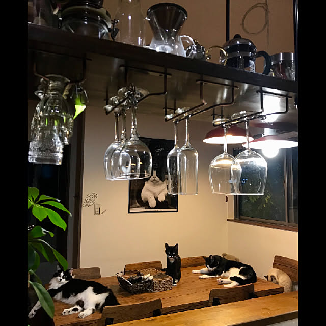butachanさんの実例写真