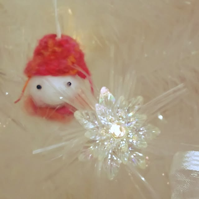 kaorinさんの実例写真