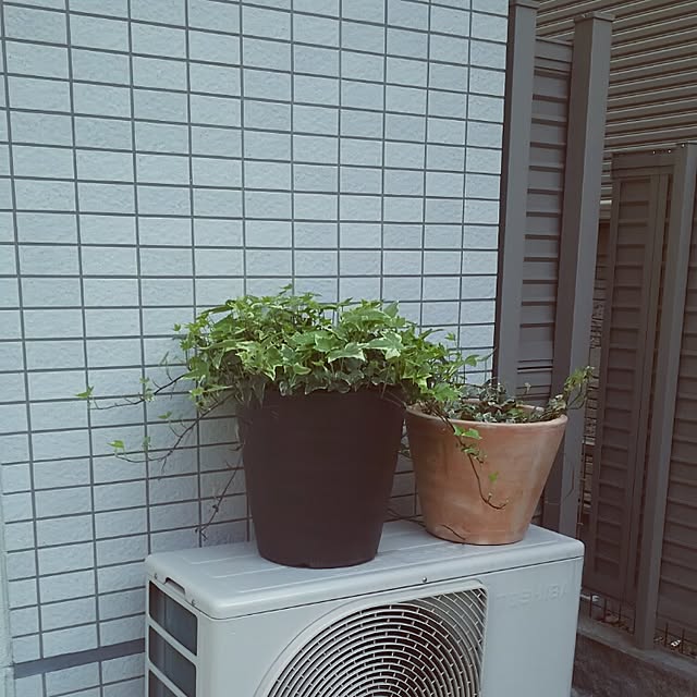 panchobiさんの実例写真