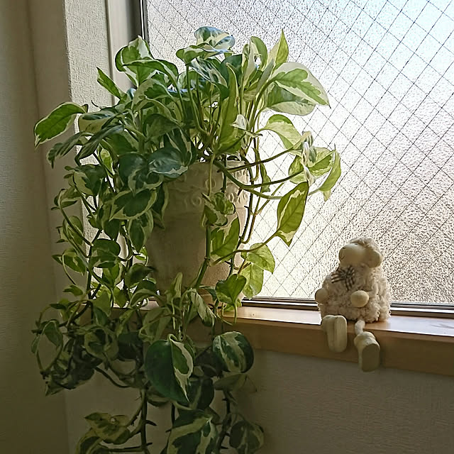 kyon814さんの実例写真