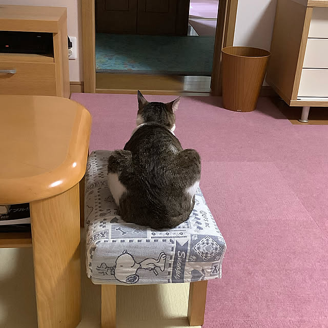 haruminさんの実例写真
