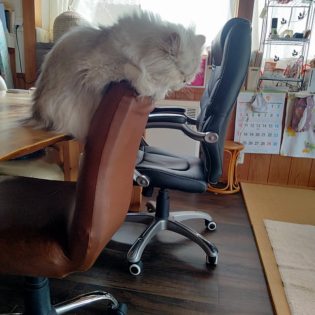 makaronさんの実例写真