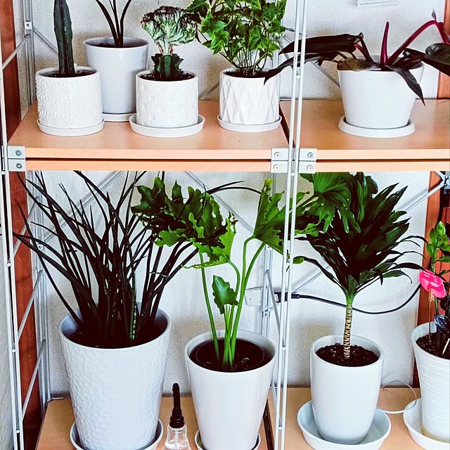 hanachanさんの部屋