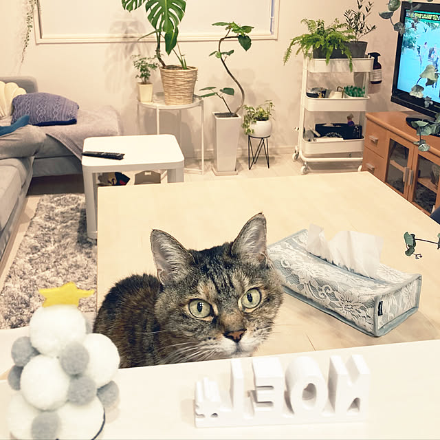 minminさんの実例写真
