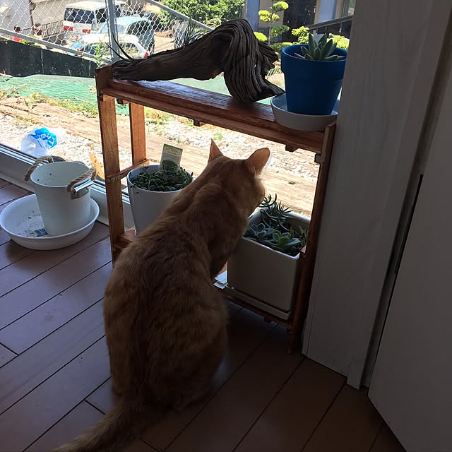 kou-kitiさんの実例写真