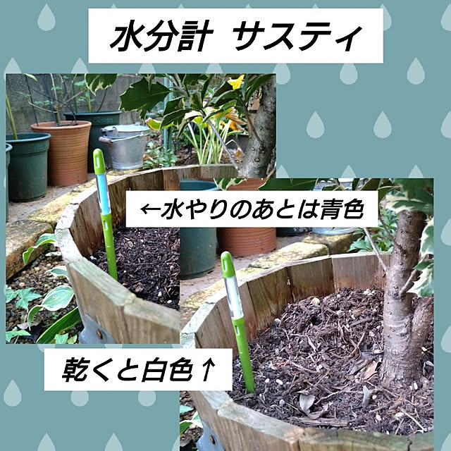 kohmarlさんの実例写真