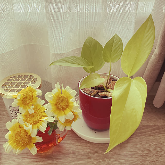 Sweetpeaさんの実例写真
