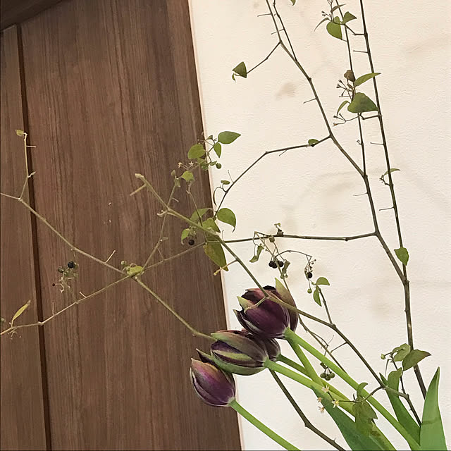 tomomiさんの実例写真
