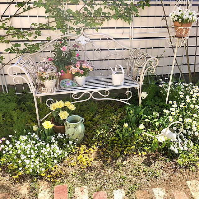 ponさんの実例写真