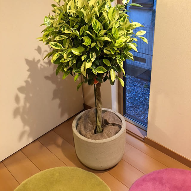 Smileさんの実例写真
