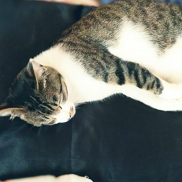 Chapterさんの実例写真