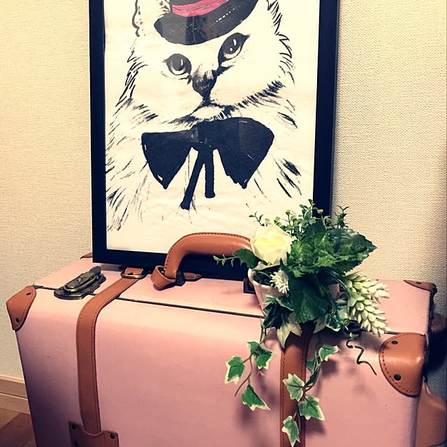 snow_co87さんの実例写真