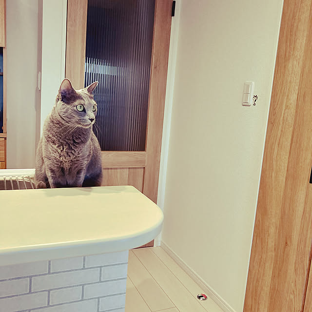 snoopyさんの実例写真