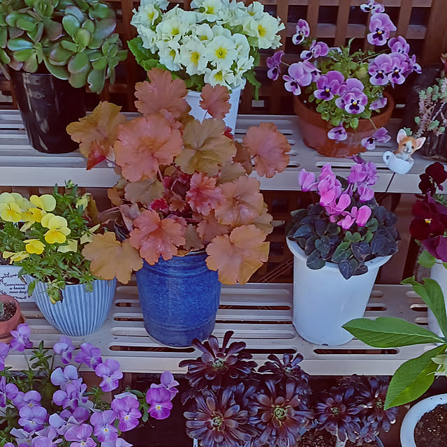 hiro-yさんの実例写真