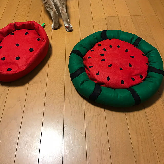 mikan161さんの実例写真