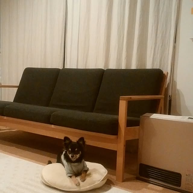 Miuraさんの実例写真