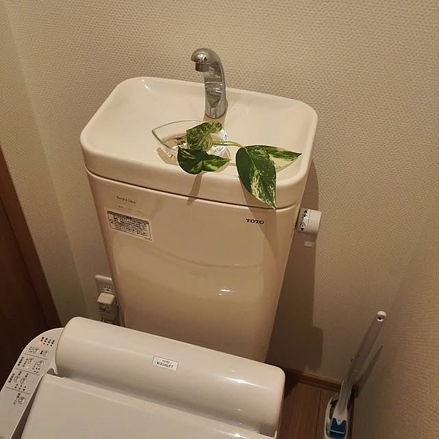 Yukさんの実例写真