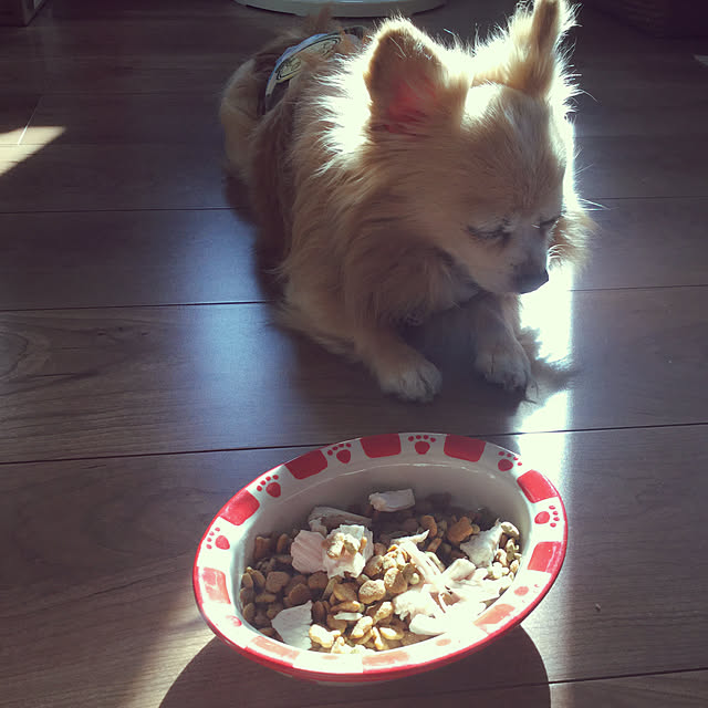 kakkoさんの実例写真