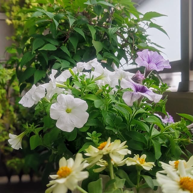 YuriYuriさんの部屋