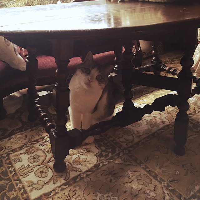 emmyyさんの実例写真