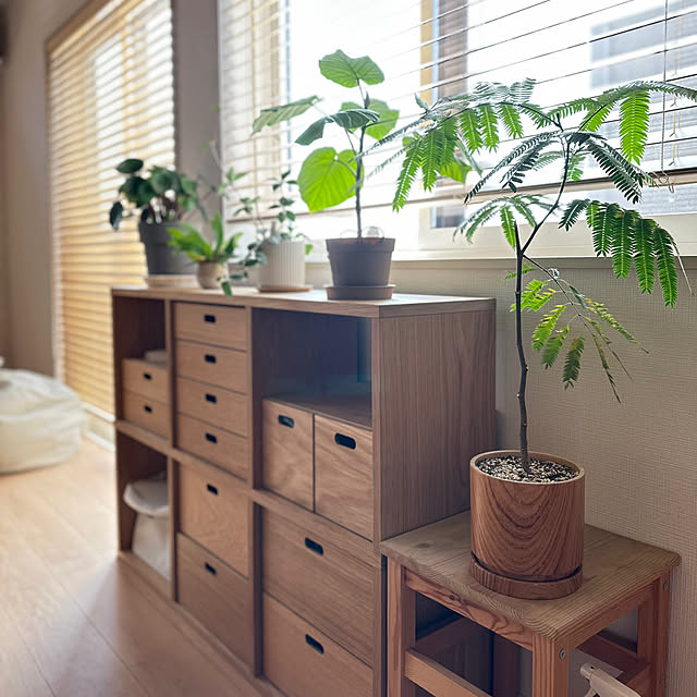 macaさんの部屋