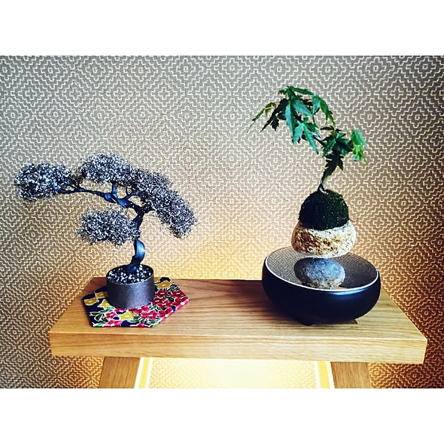 honoさんの実例写真