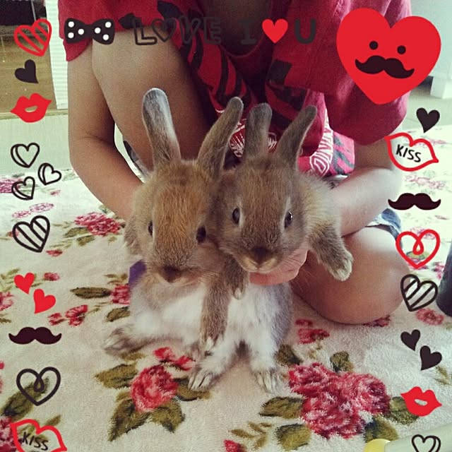 yu-ya1124さんの実例写真