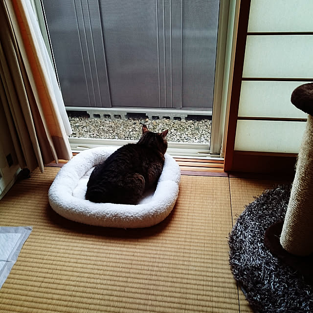 lilyさんの実例写真