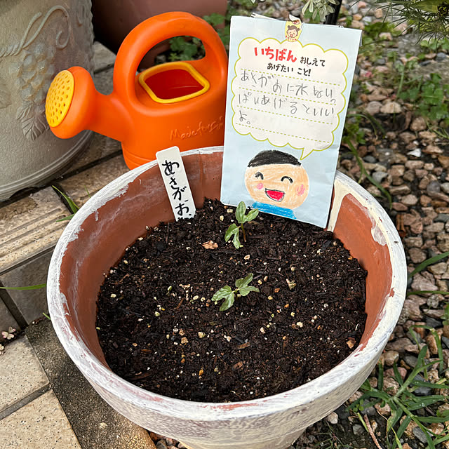 chIoeさんの部屋