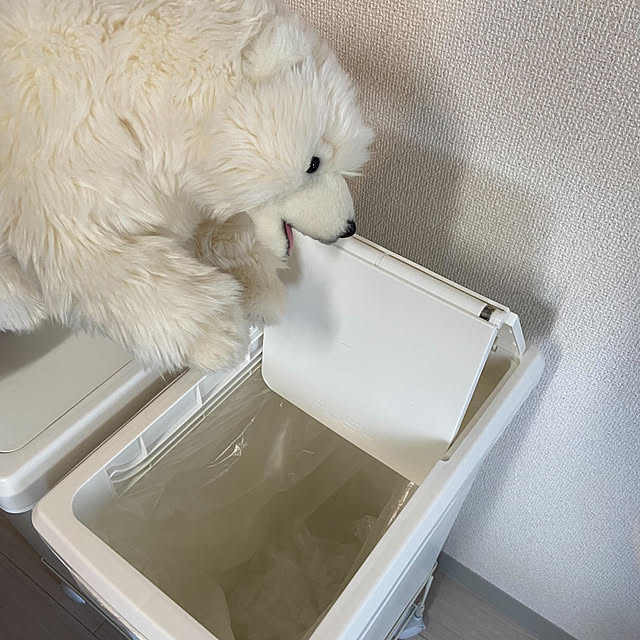 sinsinさんの実例写真