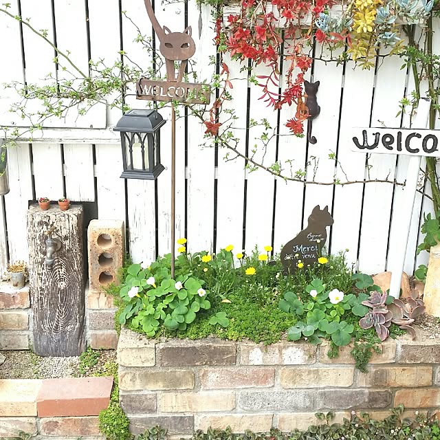 mikiさんの実例写真