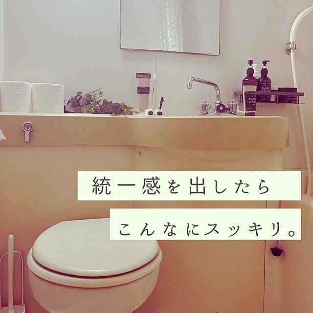 USAGiNさんの実例写真
