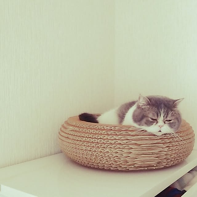 otoさんの実例写真