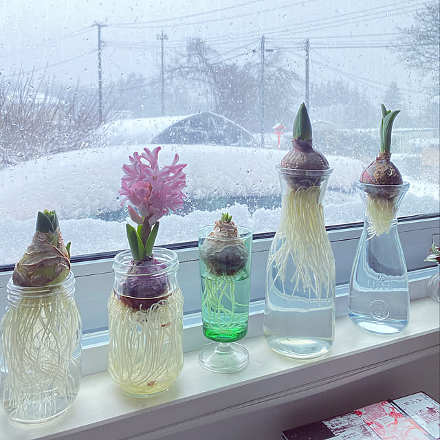 sattoさんの実例写真