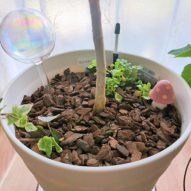 tamiさんの部屋
