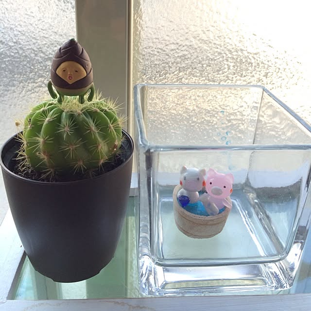 Mさんの実例写真