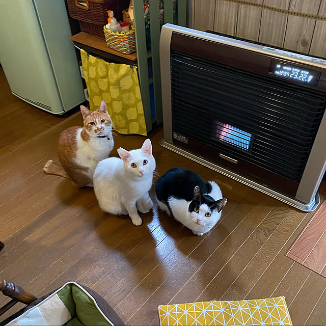 SHIHOさんの実例写真
